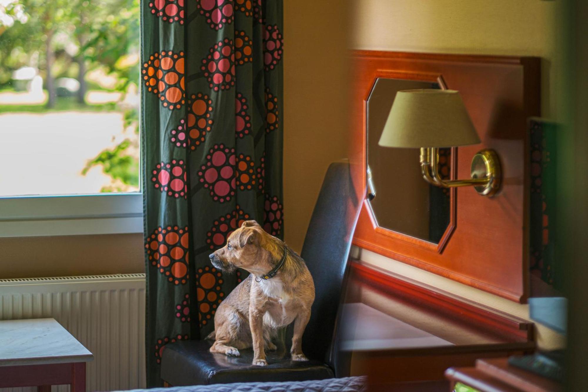 Jaemtkrogen Hotell Bräcke Værelse billede